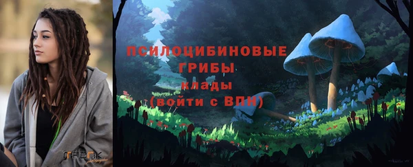 альфа пвп Беломорск
